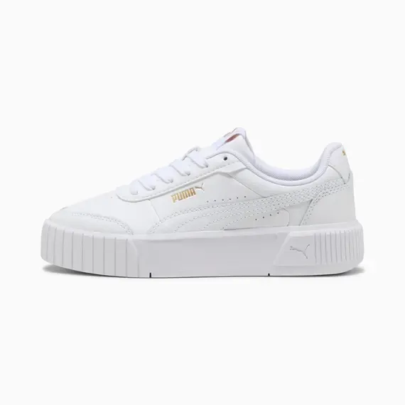 Pamja 1