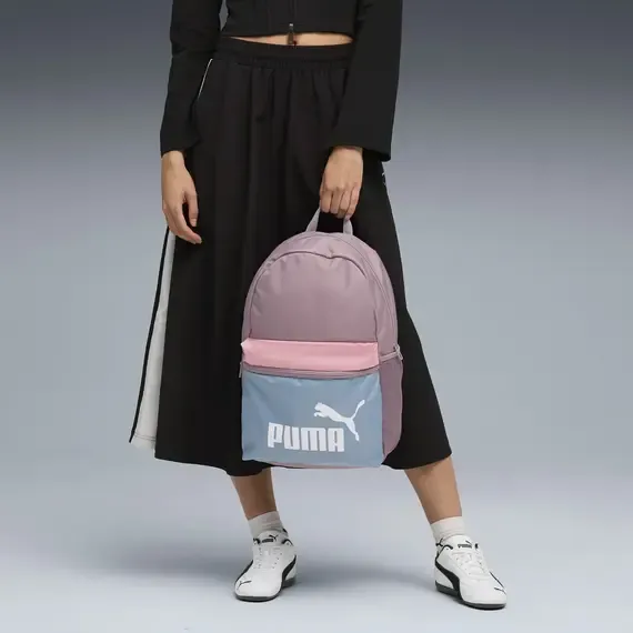 Pamja 3