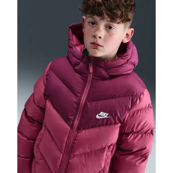 Pamja 3