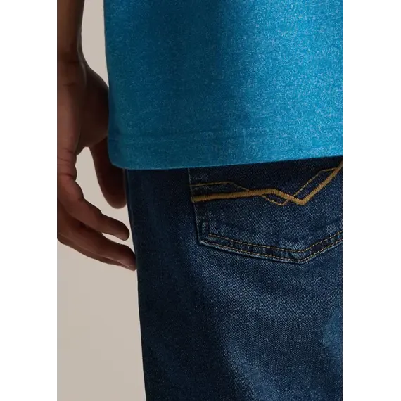 Pamja 3