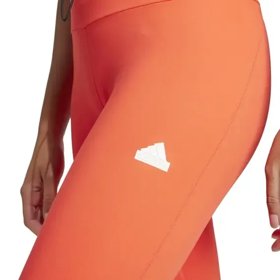 Pamja 4