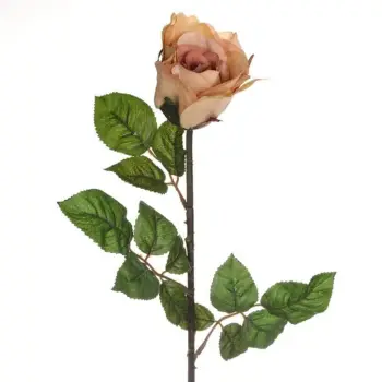 Lule dekorative me kërcell të gjatë, trëndafil rozë krem 66cm