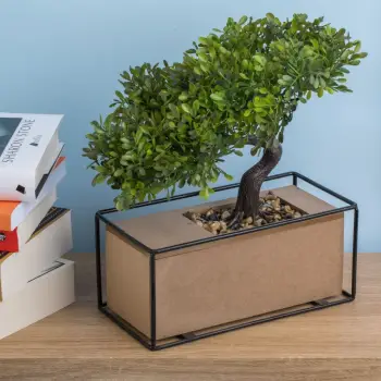 Vazo bonsai me bazë druri 21x11x28cm