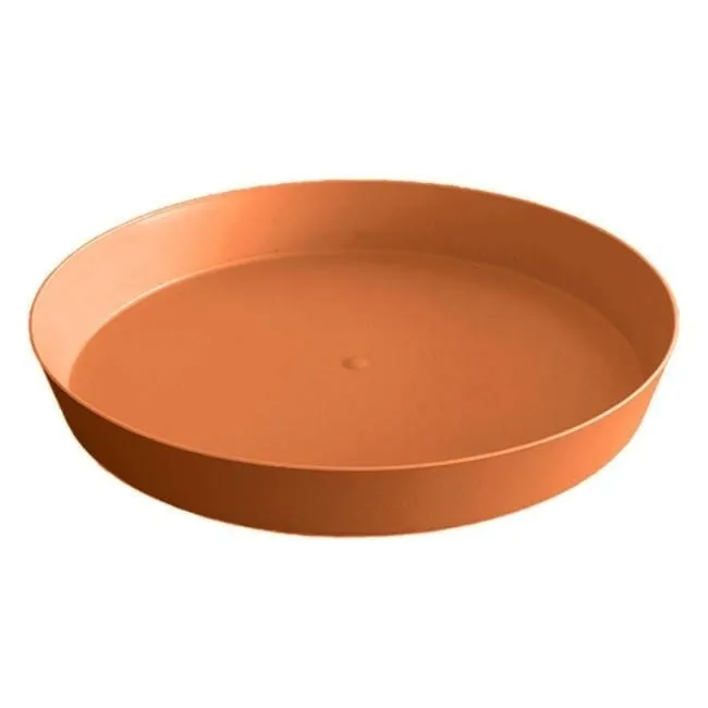 Pamja 1