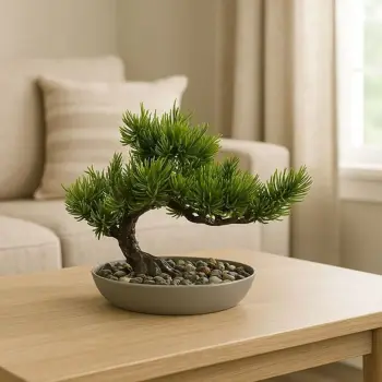 Vazo bonsai me gjelbërim 24x14x20cm