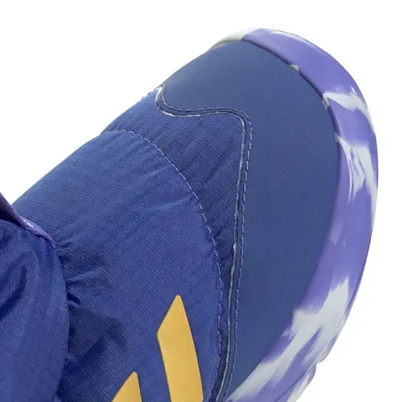 Pamja 8