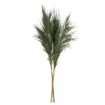 Degë dekorative pampas jeshile 85cm - 5 copë