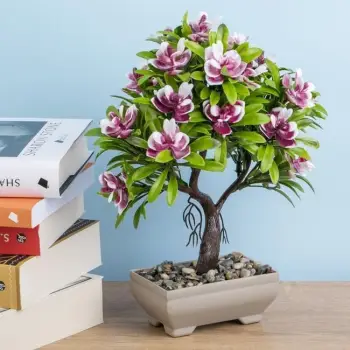Vazo bonsai me lule rozë 10x7x27cm