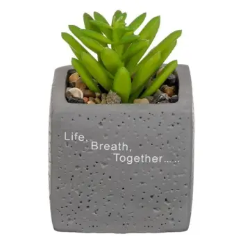Vazo dekorative gri me gurë dhe bimë "Life Breath Together" 6x6x9cm