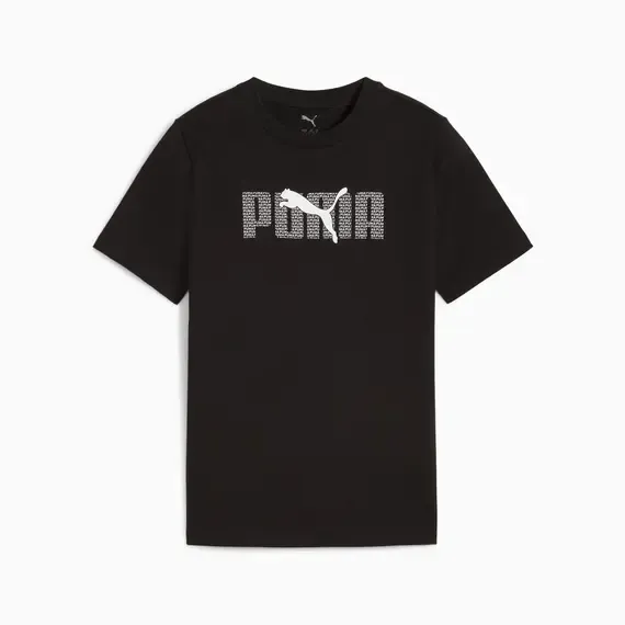 Pamja 1