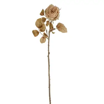 Lule dekorative e gjatë, trëndafil krem 76 cm