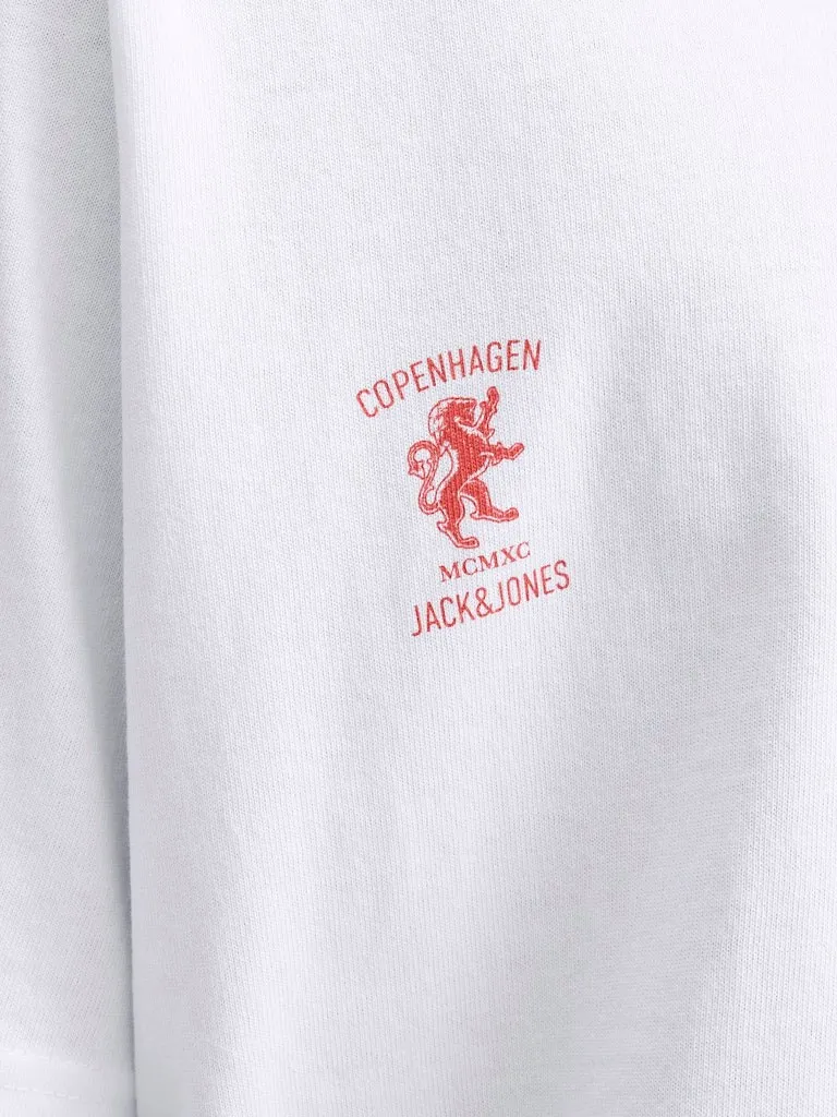 Pamja 14