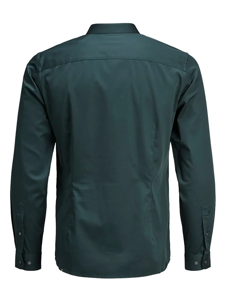 Pamja 10