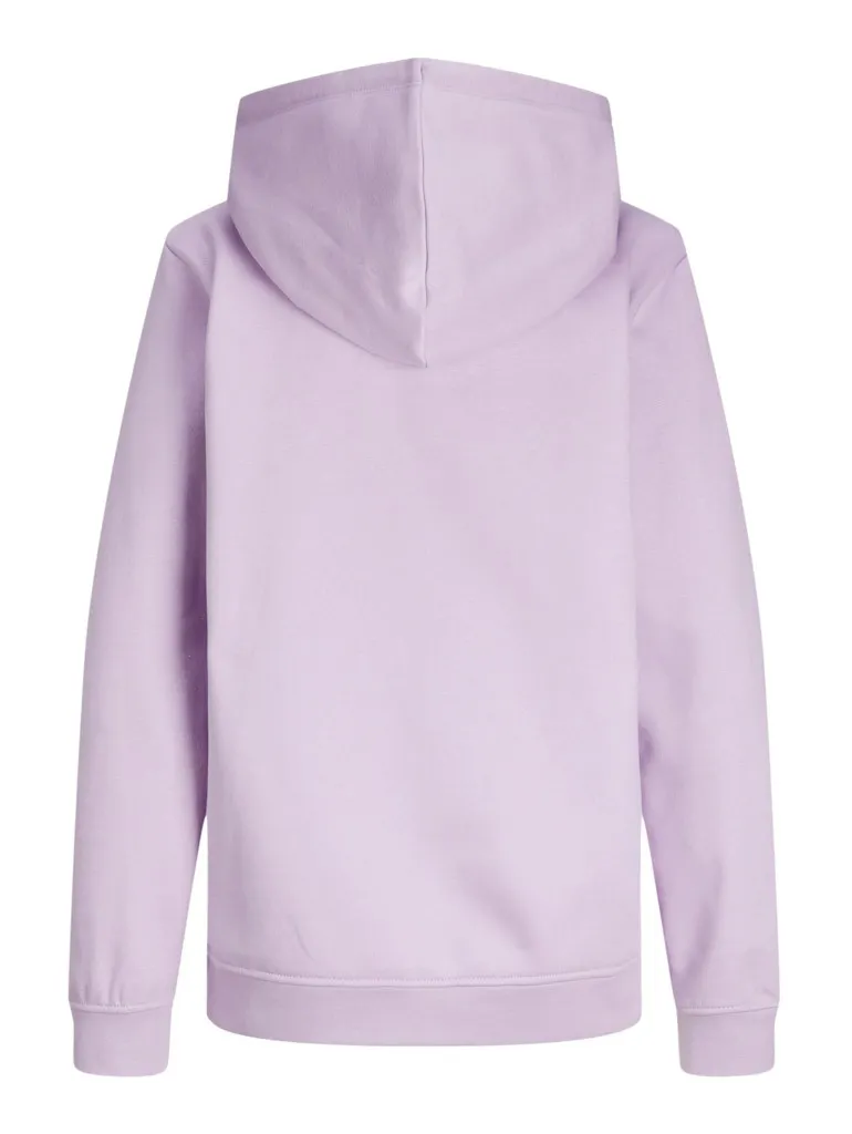 Jjxx Pulover Sportiv Noos - 11
