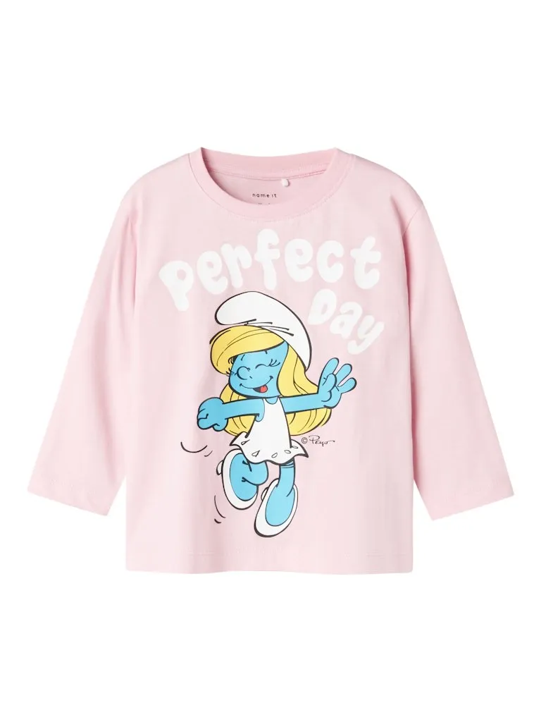 Pamja 8