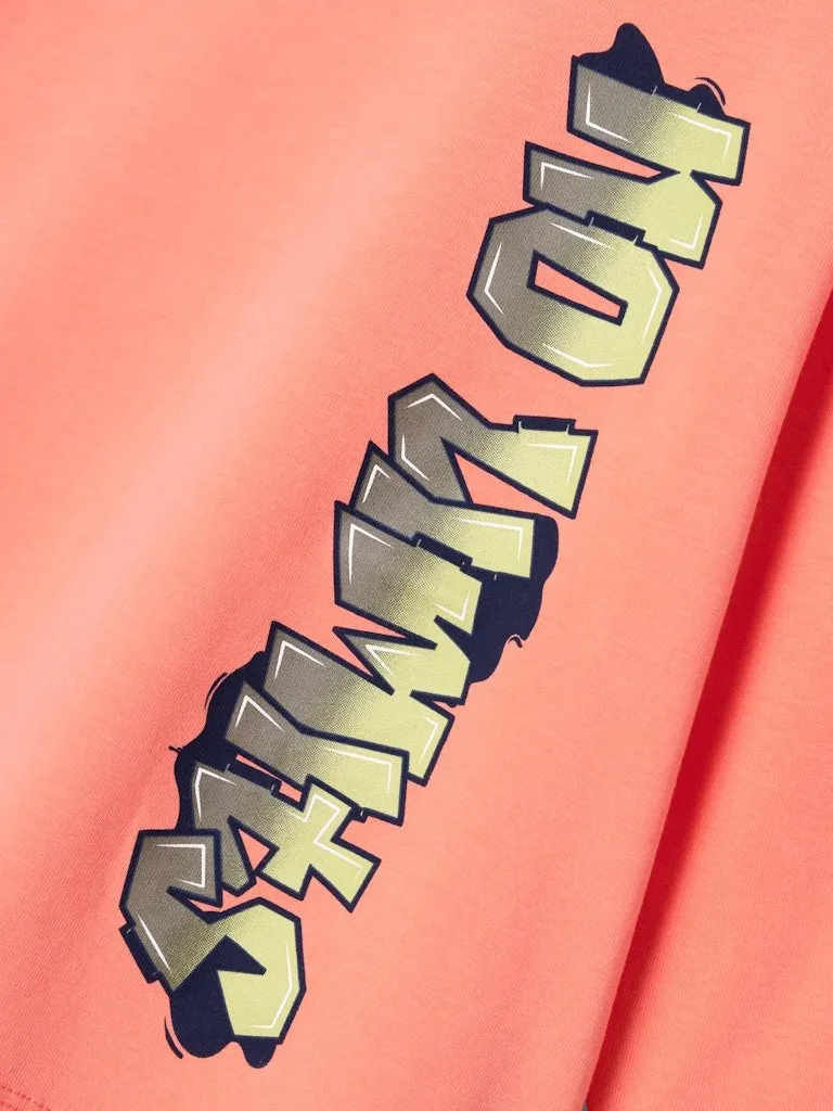 Pamja 7