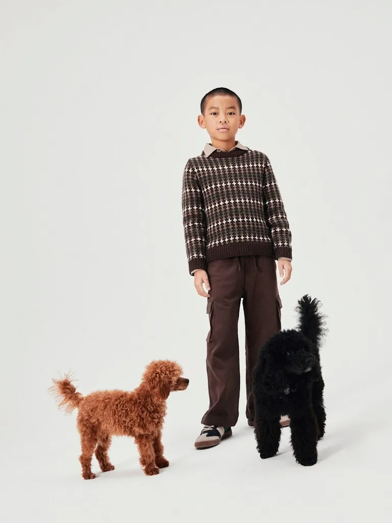 Pamja 1