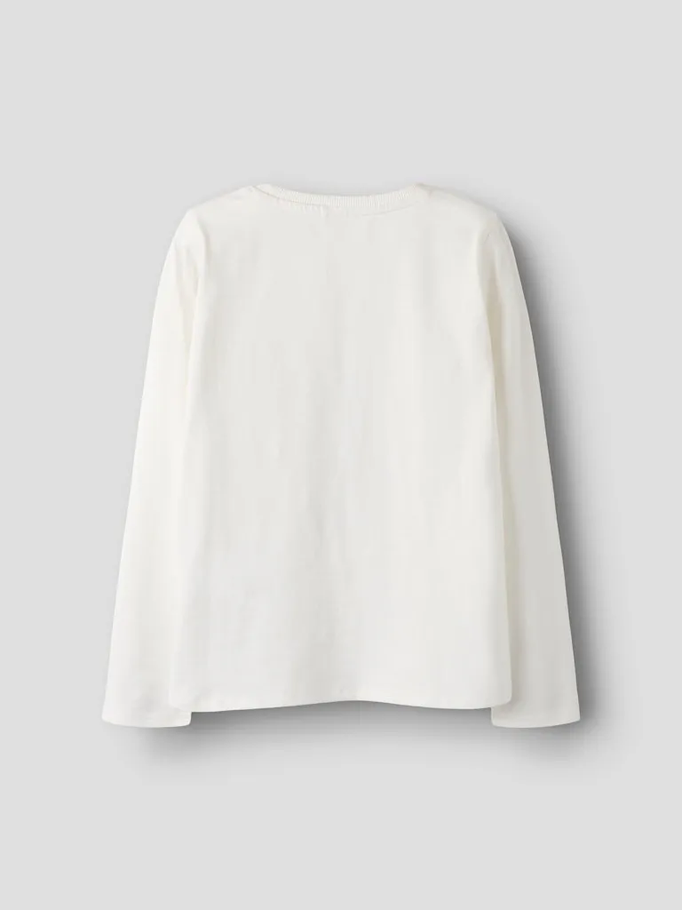 Pamja 4