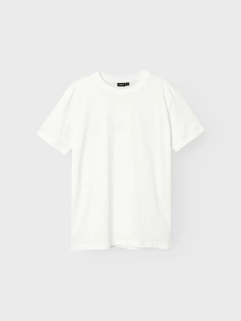 Pamja 10
