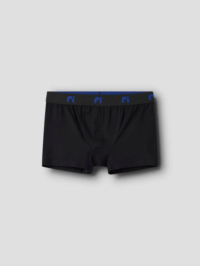 Pamja 3