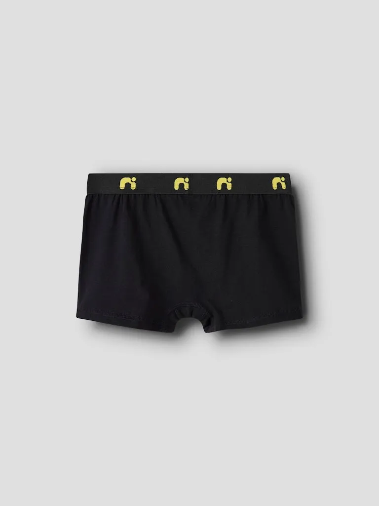 Pamja 4
