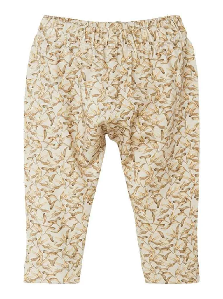 Pamja 7