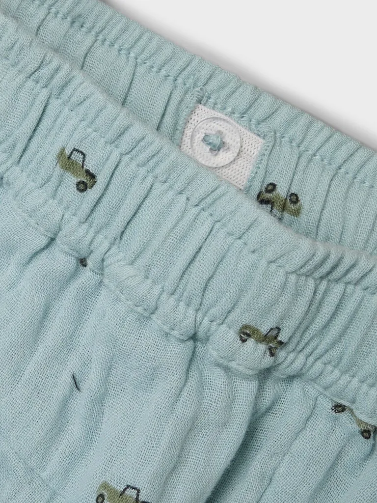 Pamja 9