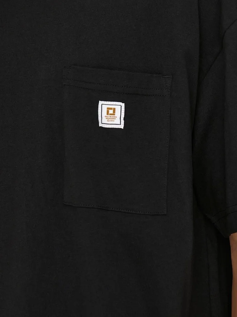 Pamja 13