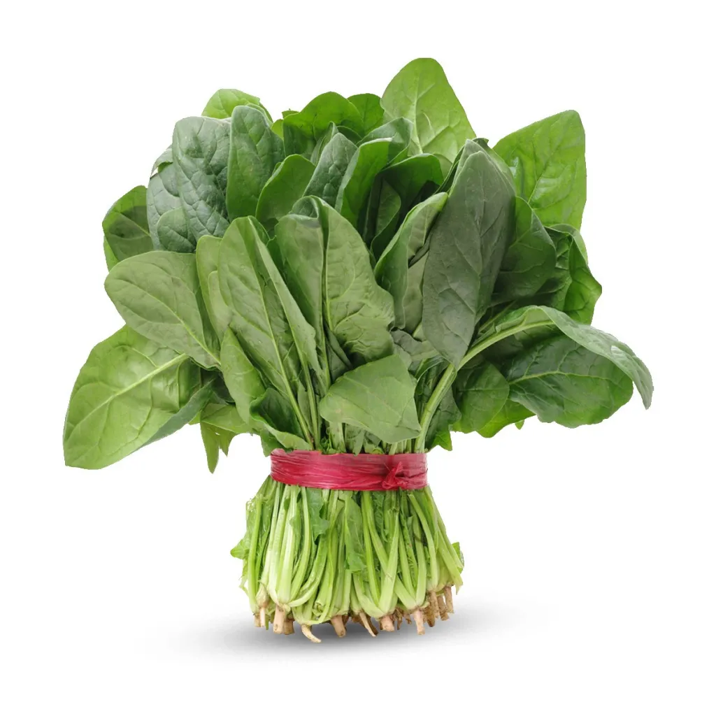 Pamja 1