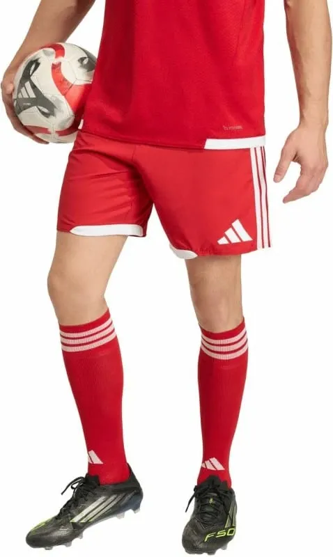 Pamja 1