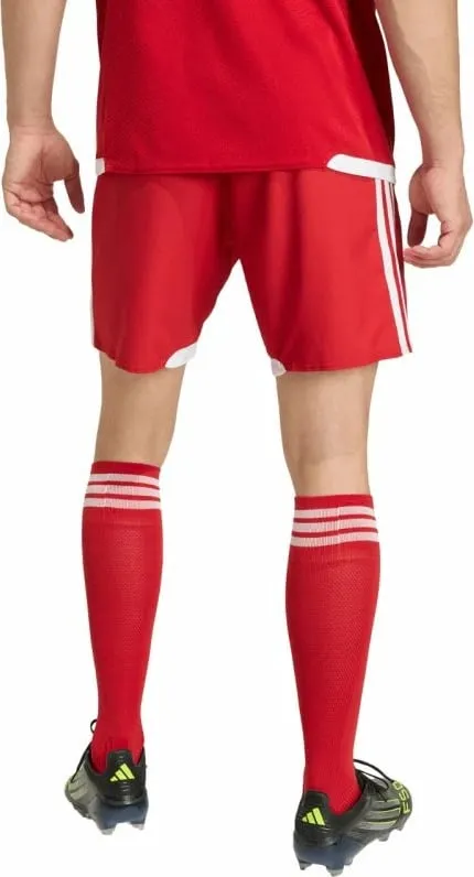 Pamja 3