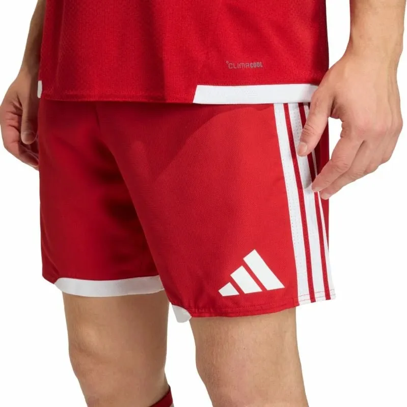 Pamja 4