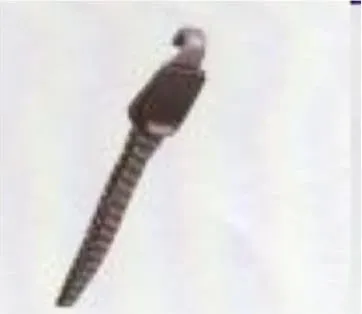 Pamja 1