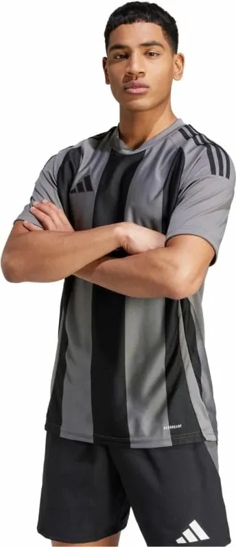 Pamja 5
