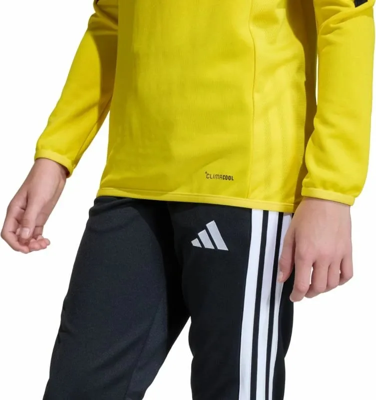 Pamja 6