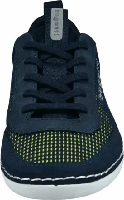 Pamja 6