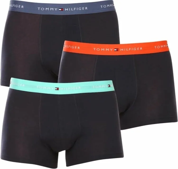 Të brendshme boxer për meshkuj Tommy Hilfiger, navy blue - 1