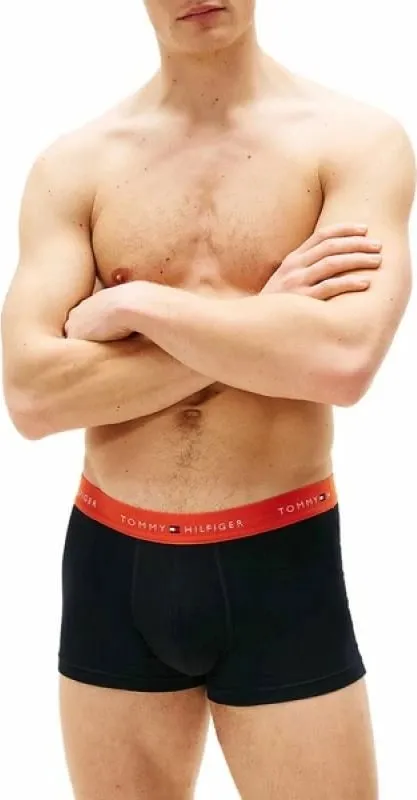 Të brendshme boxer për meshkuj Tommy Hilfiger, navy blue - 2