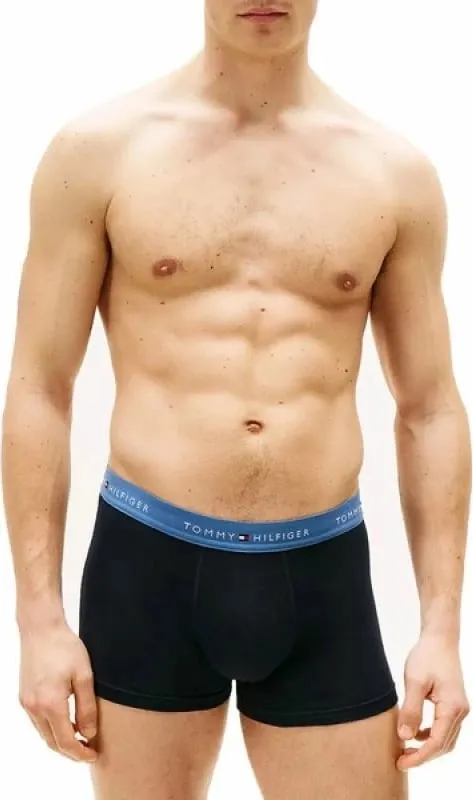 Të brendshme boxer për meshkuj Tommy Hilfiger, navy blue - 4