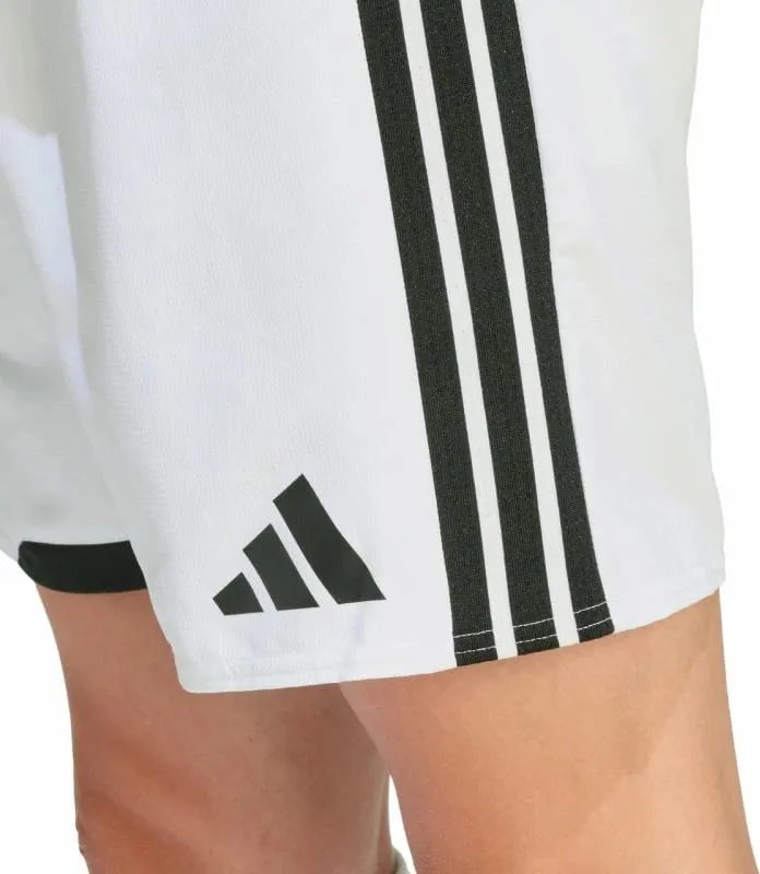 Pamja 4