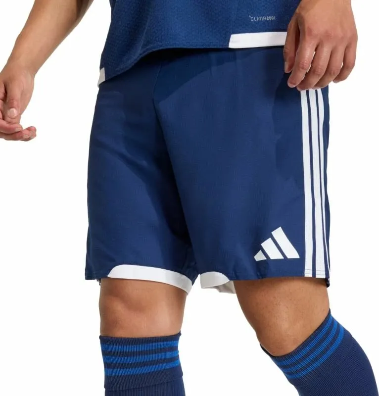 Pamja 4