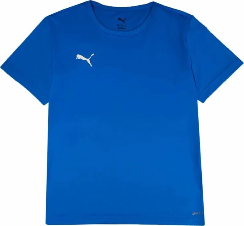 Pamja 1
