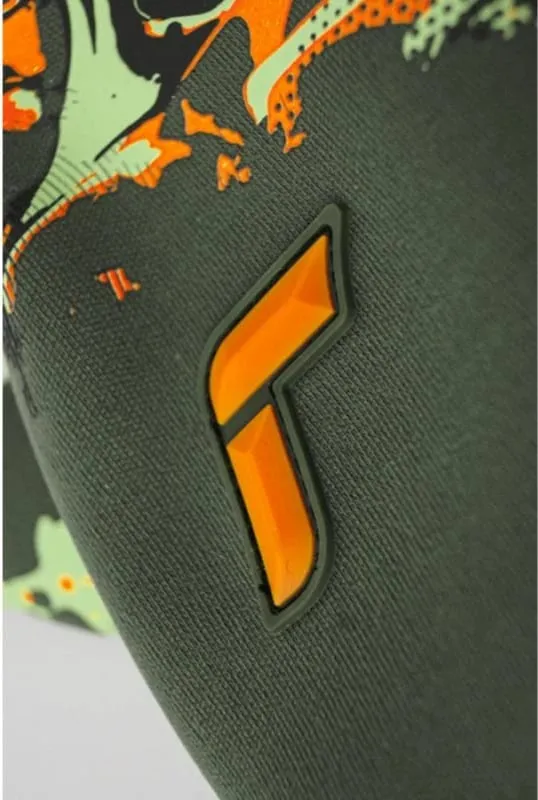 Pamja 6