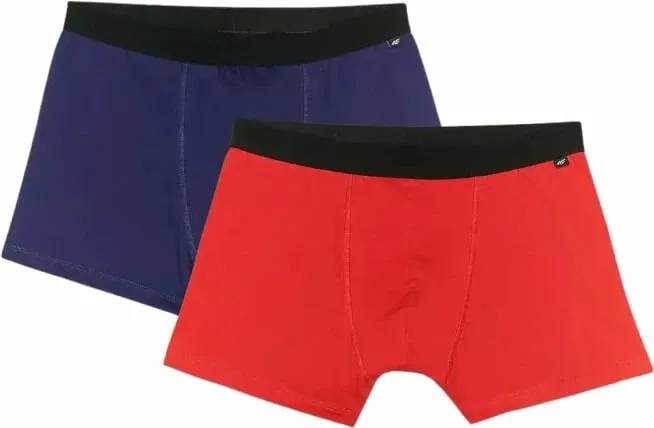 Të brendshme për meshkuj 4F, multicolor - 2