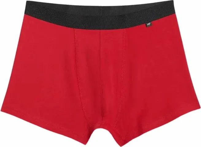 Të brendshme për meshkuj 4F, multicolor - 3