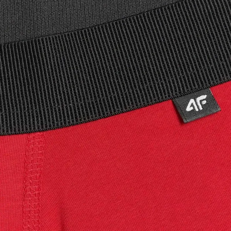 Të brendshme për meshkuj 4F, multicolor - 4