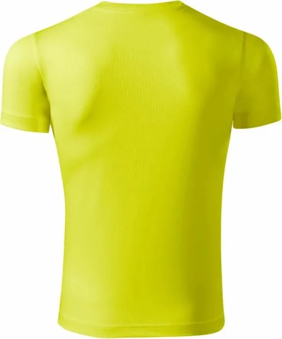 Pamja 2