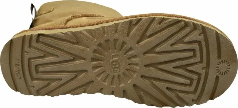 Pamja 4