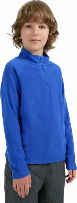 Pamja 4