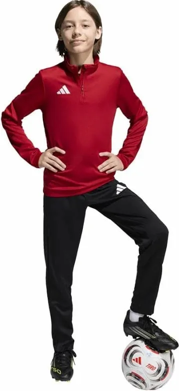 Pamja 3